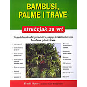 BAMBUSI PALME I TRAVE 