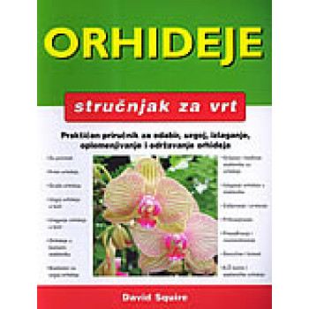 ORHIDEJE 