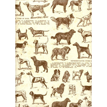 Ukrasni Papir  DOGS 