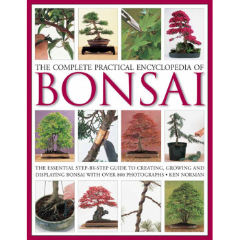 THE BONSAI HANDBOOK 