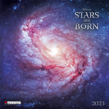 Zidni kalendar za 2023 - WHERE STARS ARE BORN 