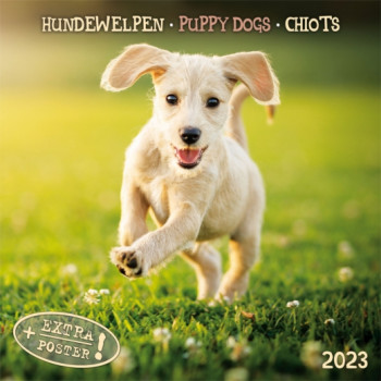 Zidni kalendar za 2023 - PUPPY DOGS 