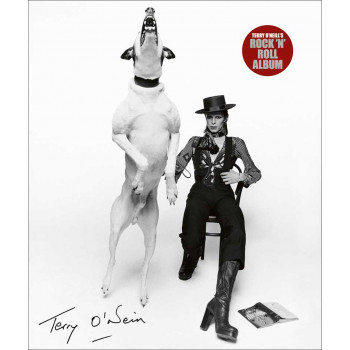 TERRY O NEILLS ROCK AND ROLL ALBUM 