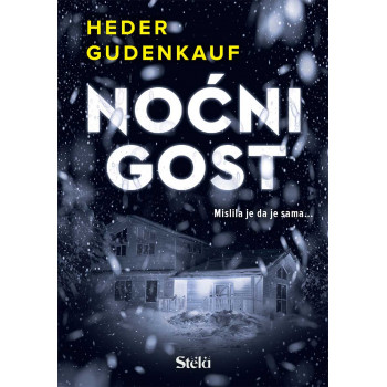 NOĆNI GOST 