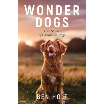 WONDER DOGS 