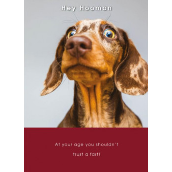 Rođendanska čestitka CONCERNED SAUSAGE DOG 