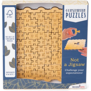 IQ puzzle NOT A JIGSAW 