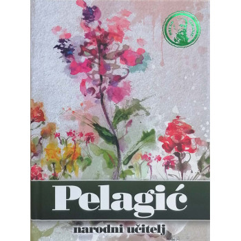 NARODNI UČITELJ 