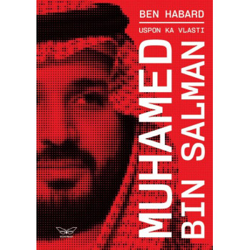 USPON KA VLASTI: MUHAMED BIN SALMAN 