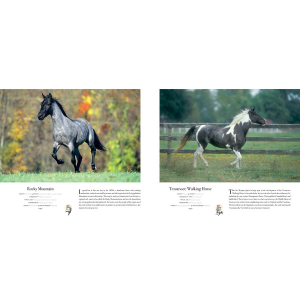 HORSE 