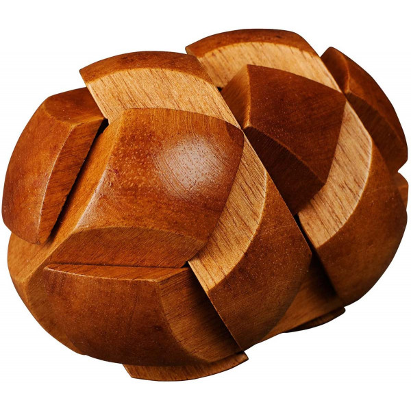 PROFESSOR PUZZLE Mozgalica DARWIN'S EGG OF EVOLUTION 
