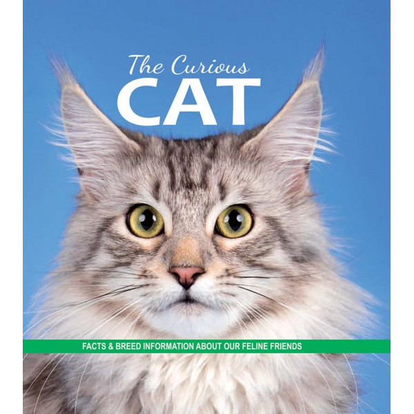 THE CURIOUS CAT 