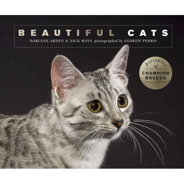 BEAUTIFUL CATS 