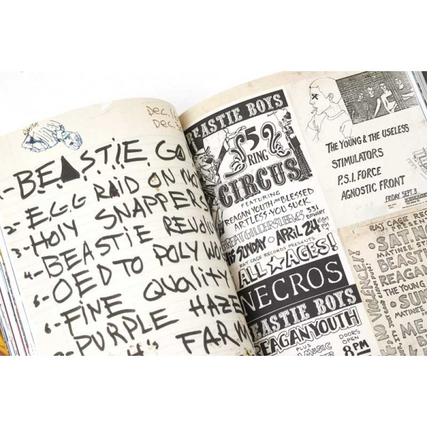 BEASTIE BOYS BOOK 
