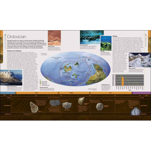 DINOSAURS AND PREHISTORIC LIFE 