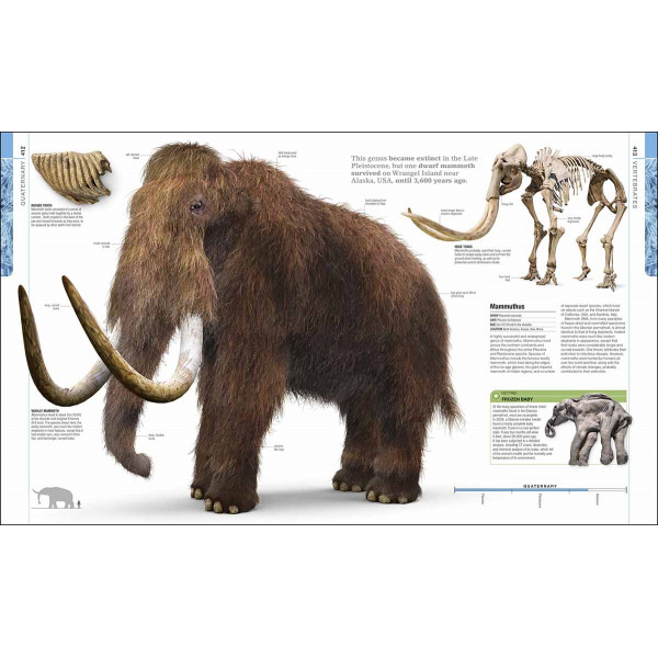 DINOSAURS AND PREHISTORIC LIFE 