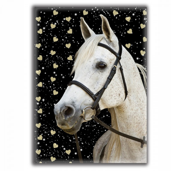 Dnevnik - My beautiful horse 