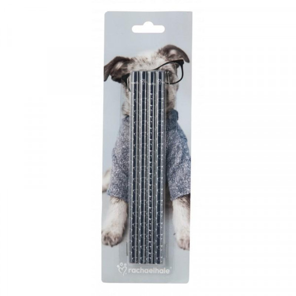 Set Olovaka PENCILS 4PCS PETS 