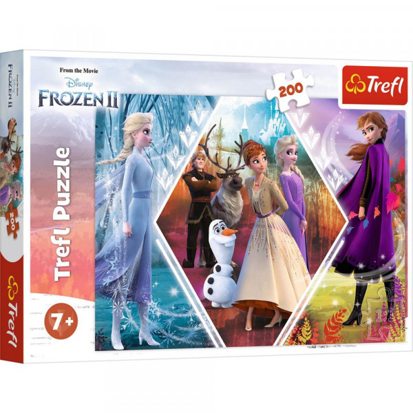 Puzzle FROZEN 2 Sisters in Frozen Land 200 