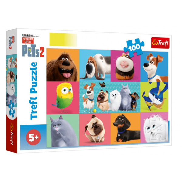 Puzzle PETS 2 The Secret Life 100 