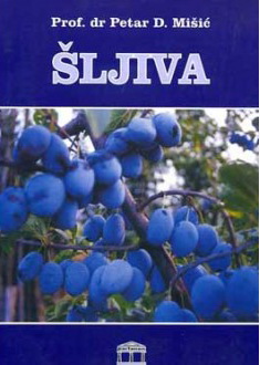 ŠLJIVA