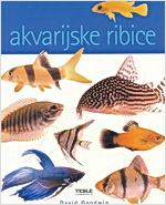 AKVARIJSKE RIBICE 