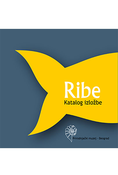 RIBE 