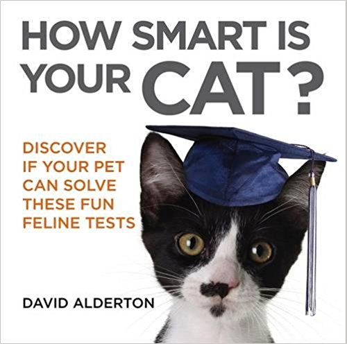 HOW SMART IS YOUR CAT 