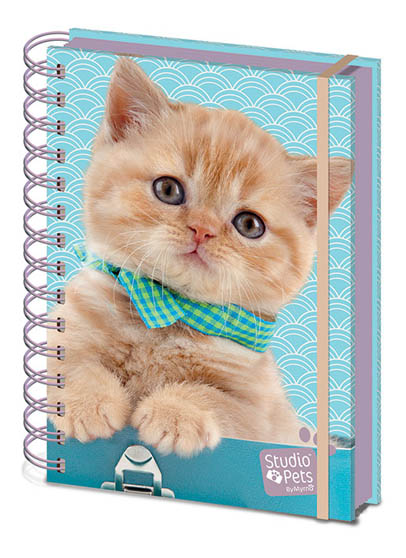 STUDIO PETS PUMPKIN A5 Wiro Notebook 