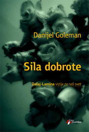 SILA DOBROTE Dalaj Lamina vizija za naš svet 