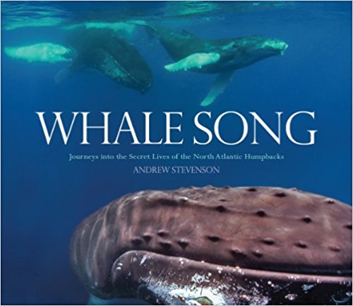 Whale Song 