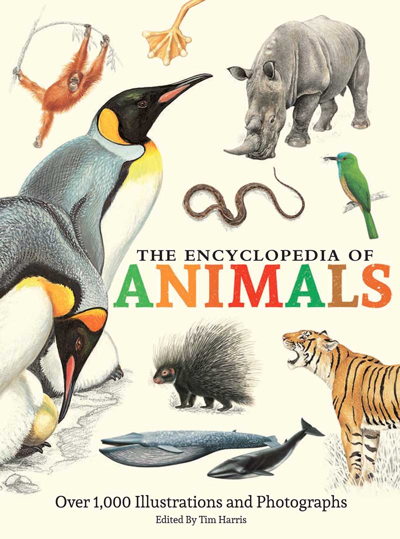 THE ENCYCLOPEDIA OF ANIMALS 