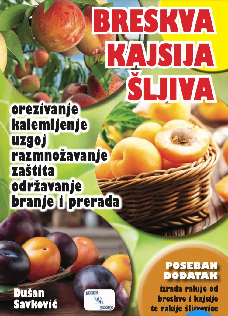 BRESKVA KAJSIJA ŠLJIVA 