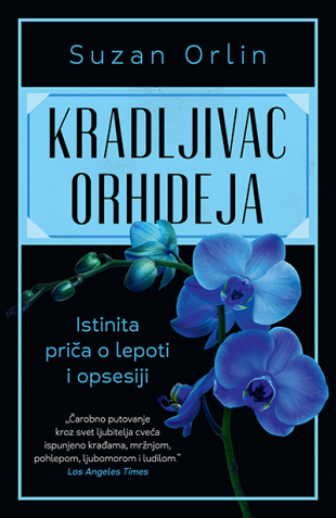 KRADLJIVAC ORHIDEJA 