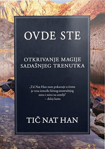 OVDE STE 