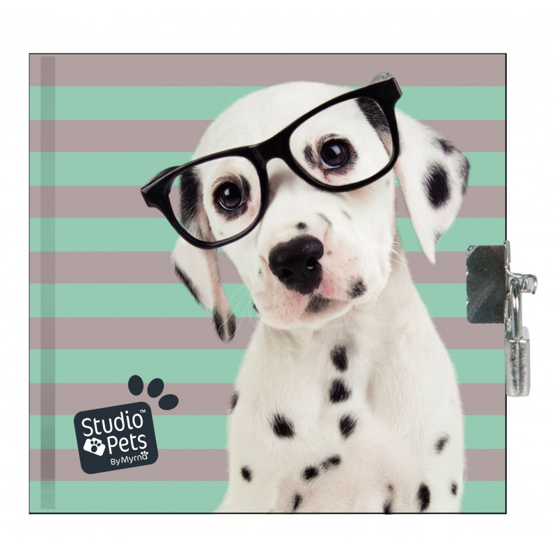Dnevnik sa katancem - Pets 