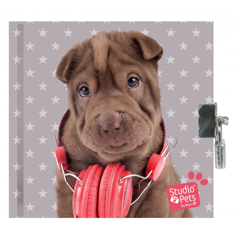 Dnevnik sa katancem - Pets 