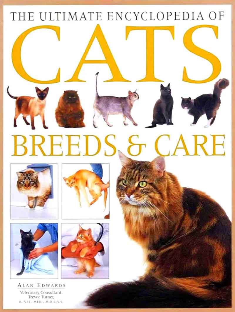 ULTIMATE ENCYCLOPEDIA OF CATS 