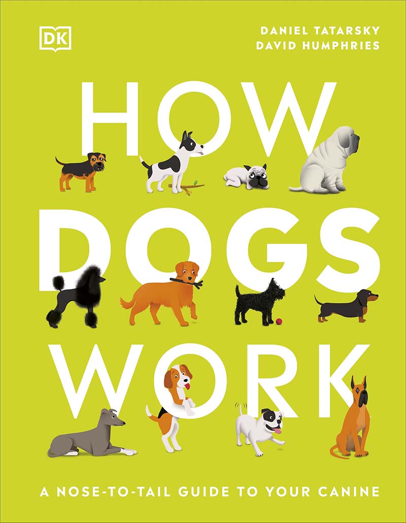 HOW DOGS WORK 