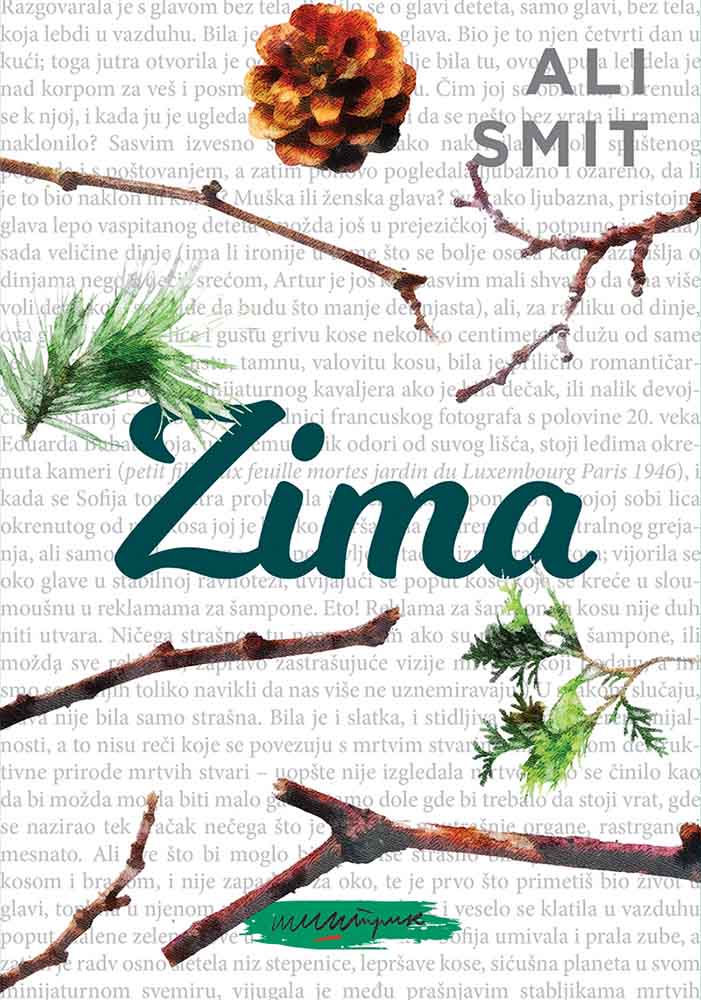 ZIMA 