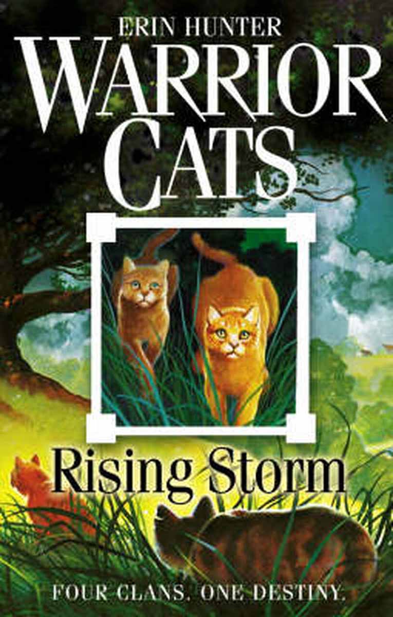 WARRIOR CATS 4 RISING STORM 