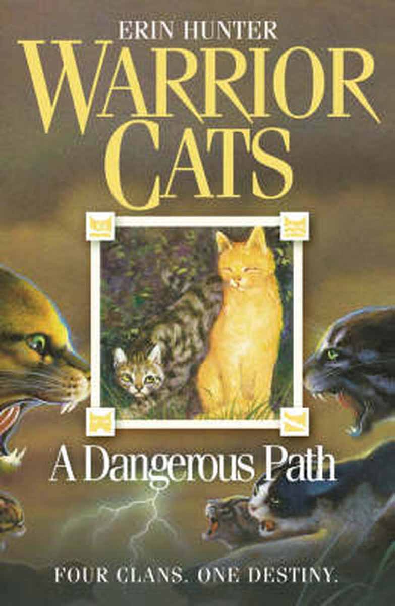 WARRIOR CATS 5 A DANGEROUS PATH 