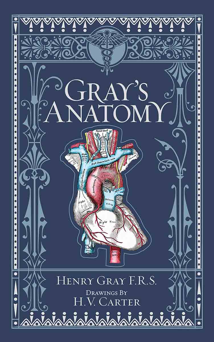 GRAYS ANATOMY 