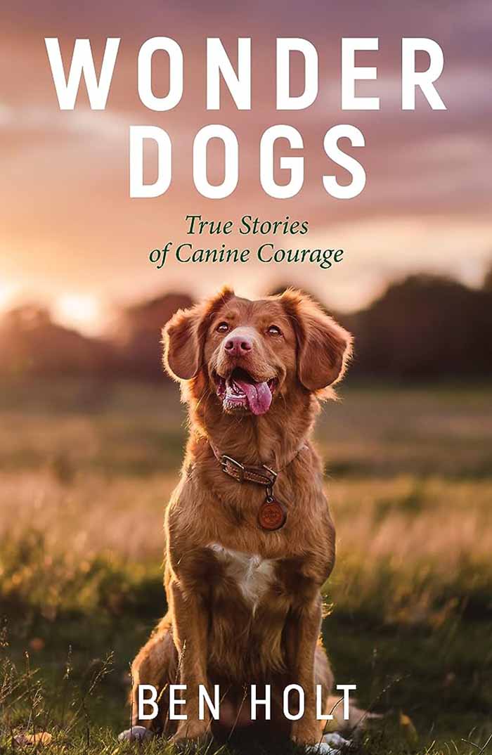 WONDER DOGS 
