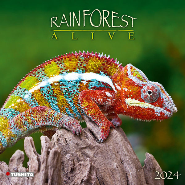 Zidni kalendar RAINFOREST ALIVE 2024 