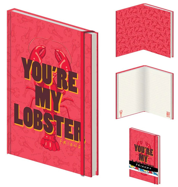 FRIENDS notes A5 YOU RE MY LOBSTER 