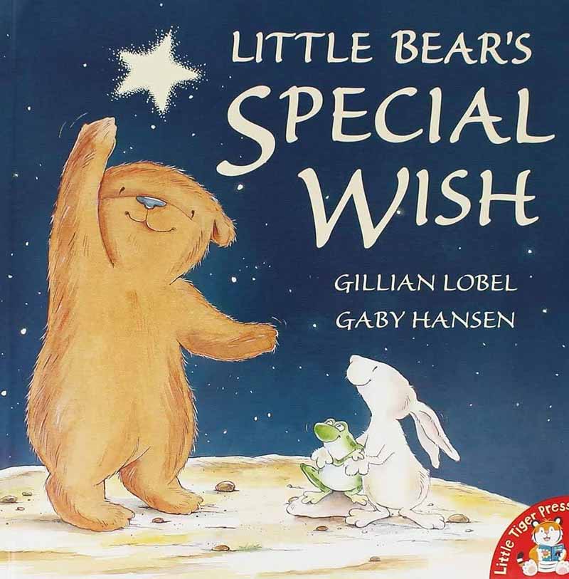 LITTLE BEAR S SPECIAL WISH 