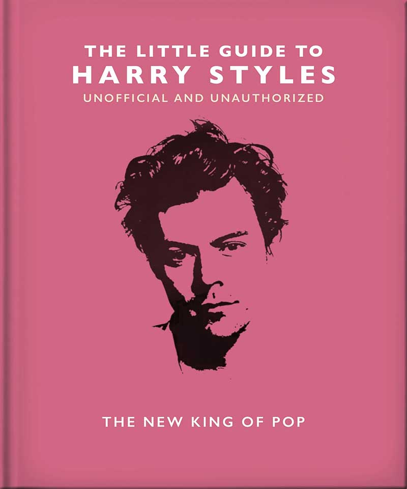 THE LITTLE GUIDE TO HARRY STYLES 