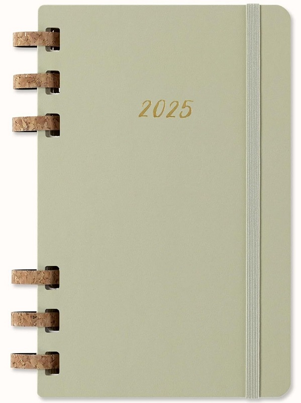 MOLESKINE planer KIWI L 2025 