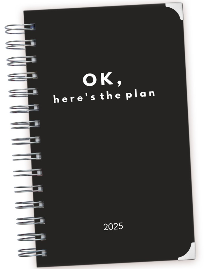 Datumirani planer 2025 -  OK HERE’S THE PLAN 